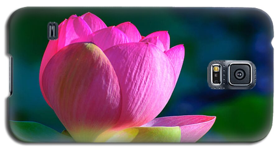 Water Lily Galaxy S5 Case featuring the photograph Pink lily by John Johnson