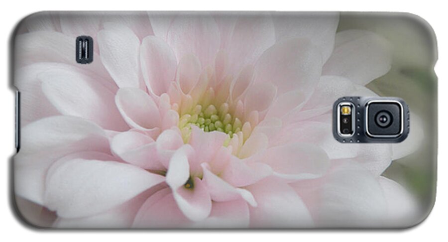 Flora Galaxy S5 Case featuring the photograph Pink Mum by Deborah Smith