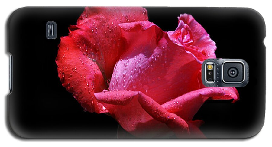 Rose Galaxy S5 Case featuring the photograph Pink Panther by Doug Norkum