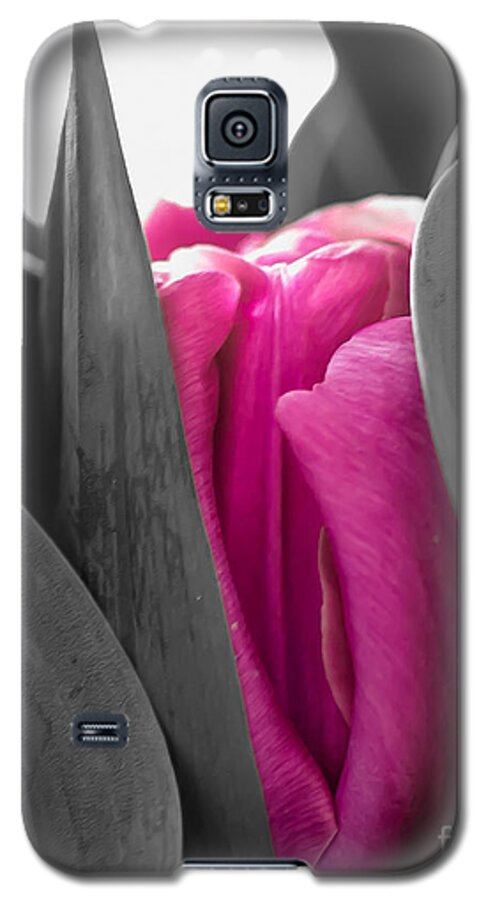 Tulip Galaxy S5 Case featuring the photograph Pink Passion by Bianca Nadeau