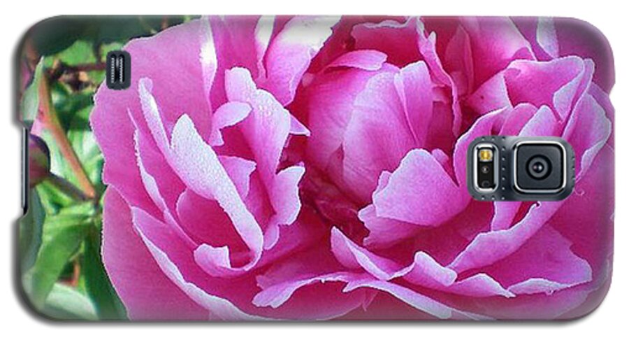 Pink Peony Galaxy S5 Case featuring the photograph Pink Peony by Barbara A Griffin