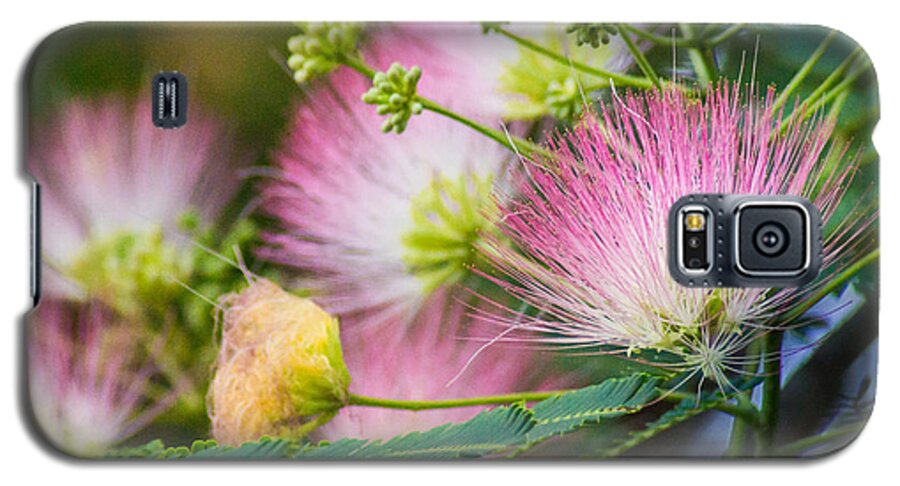 Flower Galaxy S5 Case featuring the photograph Pink Pom Poms by Bill Pevlor