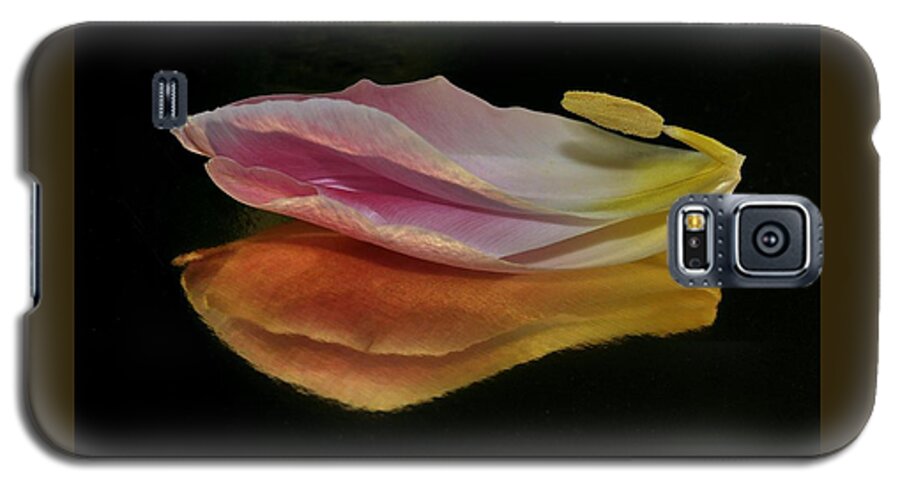Flower Galaxy S5 Case featuring the photograph Pink Tulip Petal Reflected on Black by Phyllis Meinke