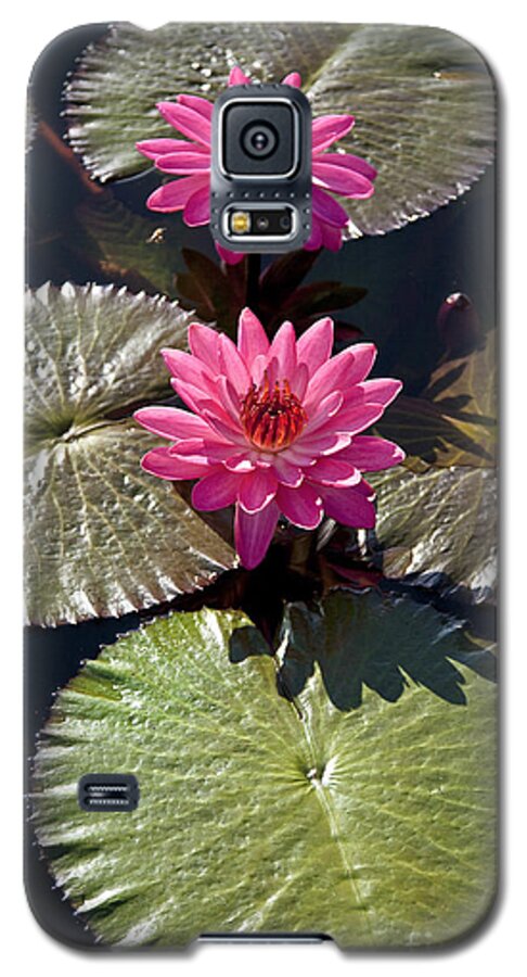 Water Llilies Galaxy S5 Case featuring the photograph Pink Water Lily III by Heiko Koehrer-Wagner