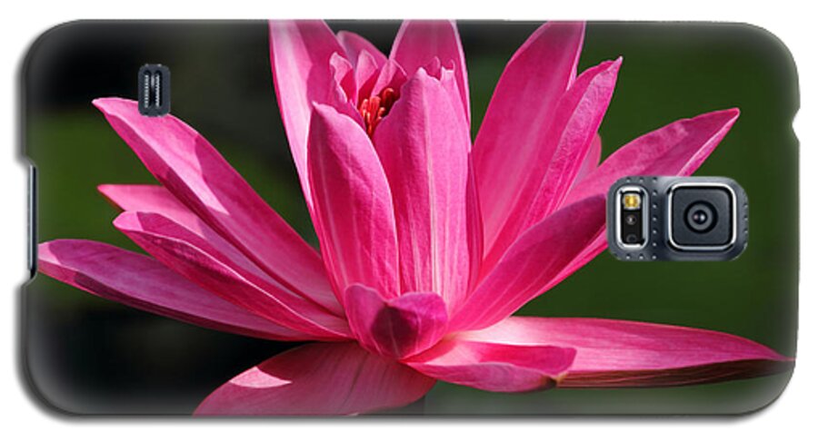 Water Lily Galaxy S5 Case featuring the photograph Pink Water Lily by Meg Rousher