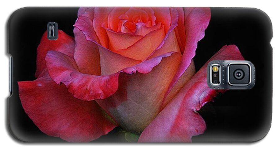 John+kolenberg Galaxy S5 Case featuring the photograph Pinky by John Kolenberg