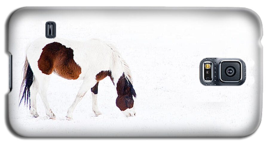 Small Horse Galaxy S5 Case featuring the photograph Pinto Pony by Theresa Tahara