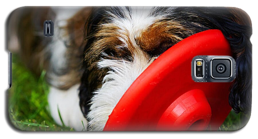 Playful Galaxy S5 Case featuring the photograph Playing dog by Nick Biemans