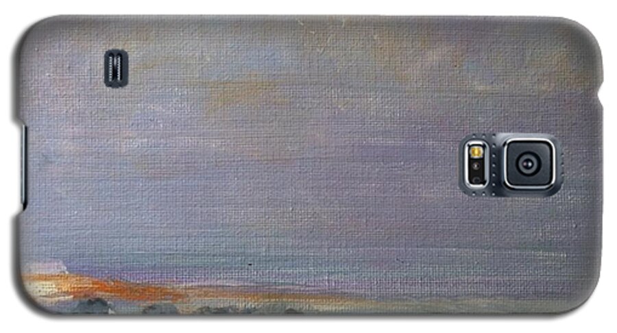 Plum Island Galaxy S5 Case featuring the painting Plum Island State of Mind by Jacqui Hawk
