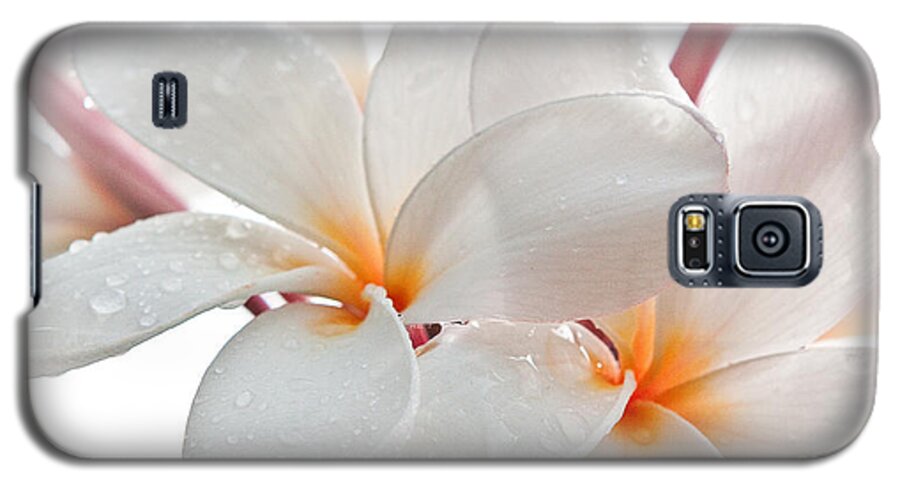 Roselynne Broussard Galaxy S5 Case featuring the photograph Plumeria by Roselynne Broussard