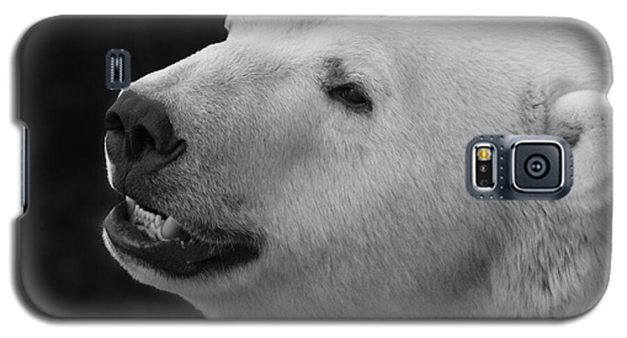 Polar Bear Galaxy S5 Case featuring the photograph Polar Bear by Jackson Pearson