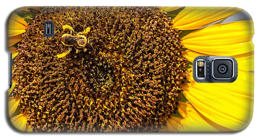 Bee Covered In Pollen Galaxy S5 Case featuring the photograph The Sunflower and the Bee by Victor Culpepper