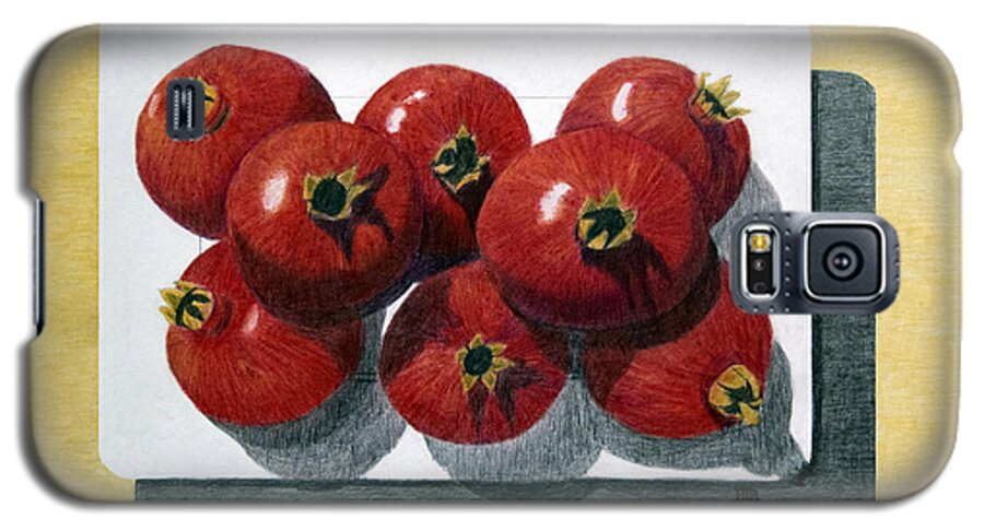 Pomegranates Galaxy S5 Case featuring the painting Pomegranates on a Plate by Barbara J Blaisdell
