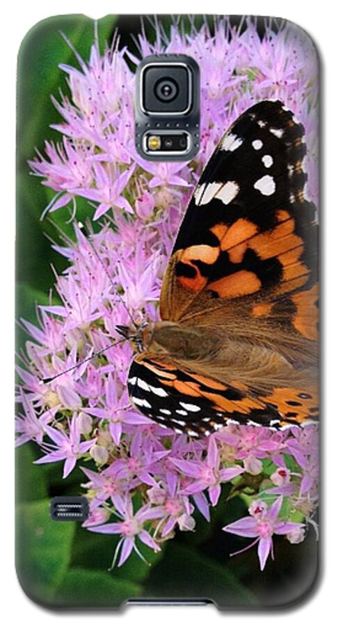 Nature Galaxy S5 Case featuring the photograph Poor Butterfly by Photographic Arts And Design Studio