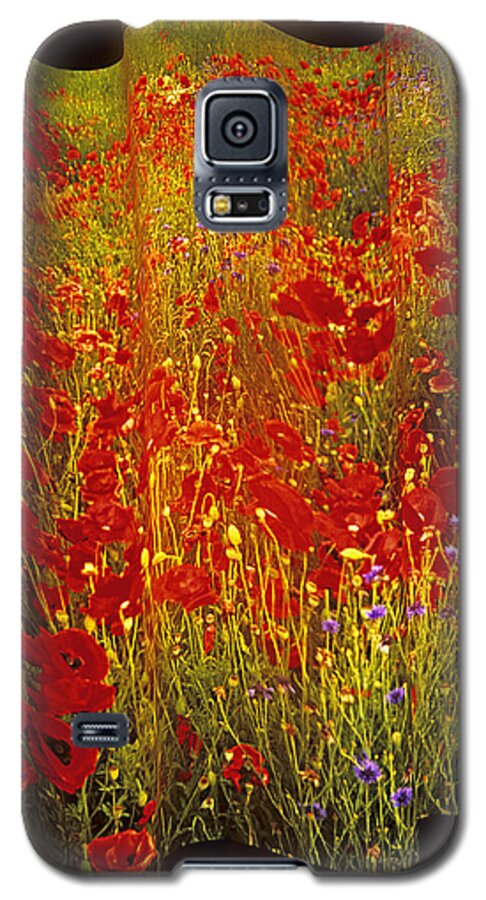 Wildflowers Galaxy S5 Case featuring the photograph Poppies and Wildflowers by Doug Davidson