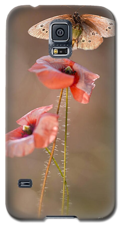 Flower Galaxy S5 Case featuring the photograph Poppies #1 by Jaroslaw Blaminsky