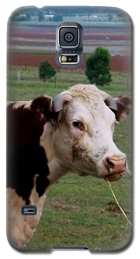 Cow Galaxy S5 Case featuring the photograph Portrait of a Cow by Therese Alcorn