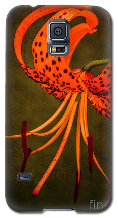 Canvas Prints Galaxy S5 Case featuring the photograph Portrait of a Tiger by Dave Bosse