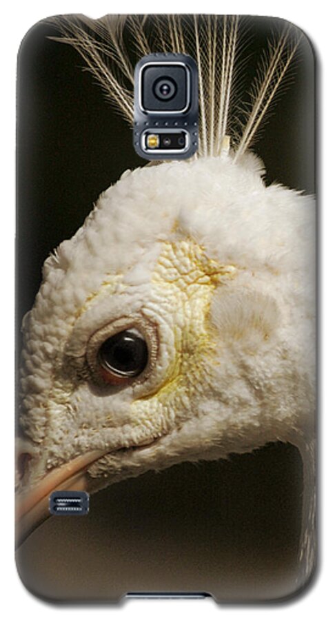 Nature Galaxy S5 Case featuring the photograph Portrait Of A White Peacock by Lena Wilhite