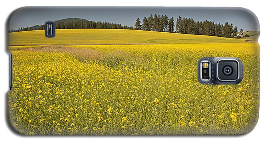 Palouse Galaxy S5 Case featuring the photograph Potlatch Canola by Doug Davidson
