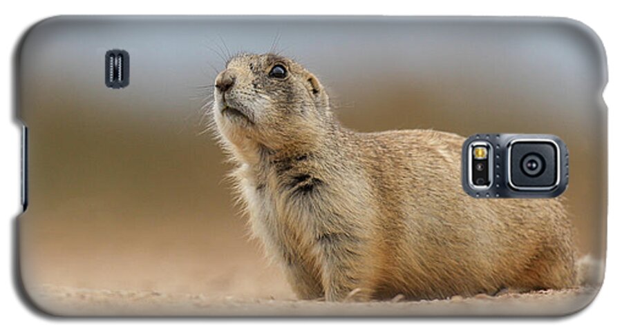  Galaxy S5 Case featuring the photograph Prarie Dog by Kevin Dietrich