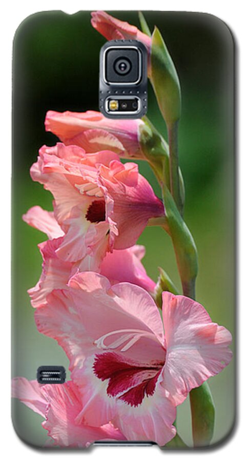 Flower Galaxy S5 Case featuring the photograph Pretty in Pink by David Hart