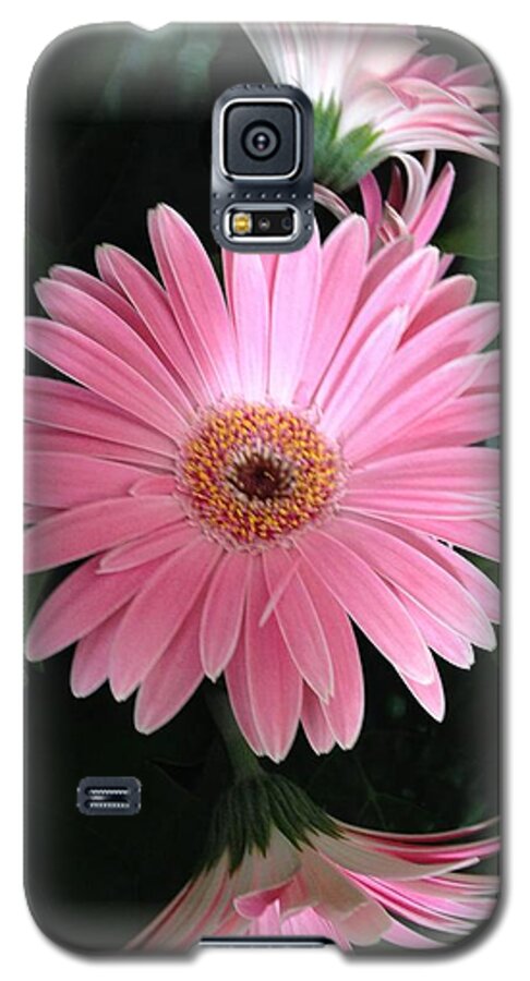 Pink Daisies Galaxy S5 Case featuring the photograph Pretty In Pink by Marian Lonzetta