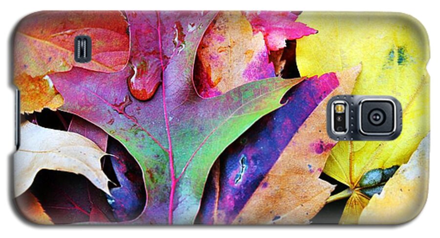 Autumn Galaxy S5 Case featuring the photograph Primary Colors Of Fall by Judy Palkimas