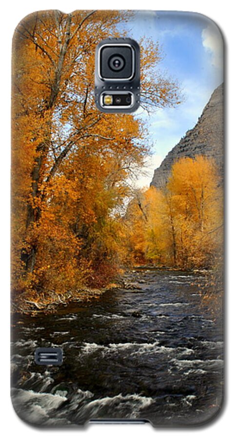 Fall Galaxy S5 Case featuring the photograph Provo River Utah by Nathan Abbott