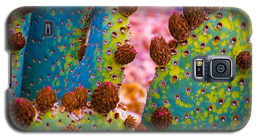 Psychedelic Galaxy S5 Case featuring the photograph Psychedelic Cactus by Glenn DiPaola