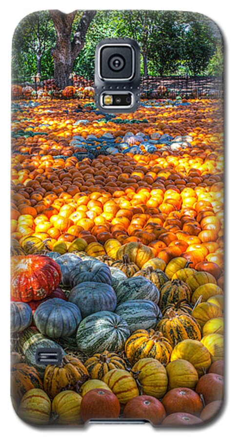 Hdr Galaxy S5 Case featuring the photograph Pumpkin Patch by Ross Henton