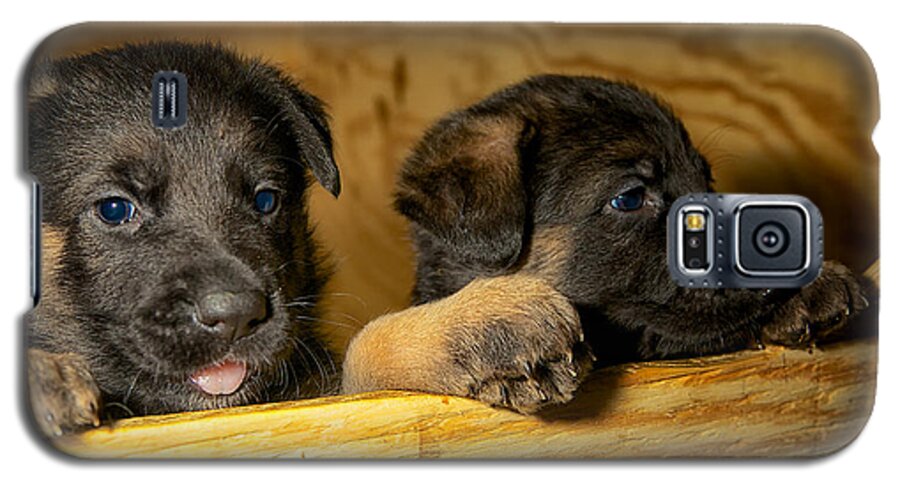Puppy Galaxy S5 Case featuring the photograph Puppy Love by Mark Steven Houser