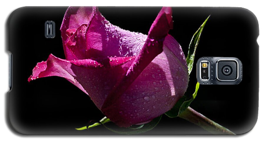 Rose Galaxy S5 Case featuring the photograph Pure Pink by Doug Norkum