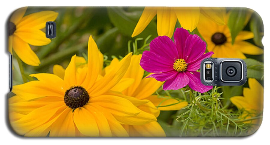 Flowers Galaxy S5 Case featuring the photograph Purple and Yellow Flowers by Lynn Hansen