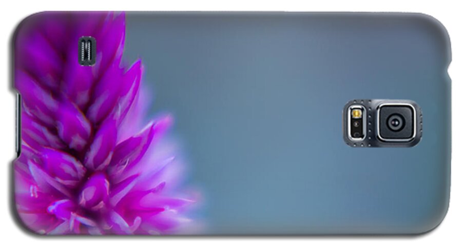 Fall Galaxy S5 Case featuring the photograph Purple Blur by Wild Fotos
