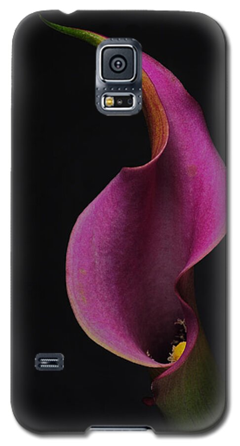 Lily Galaxy S5 Case featuring the photograph Purple Calla Lily by Catherine Lau