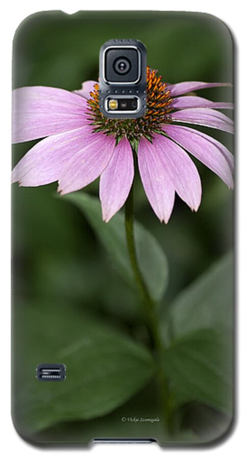 Purple Coneflower Galaxy S5 Case featuring the photograph Purple Cone Flower by Vickie Szumigala