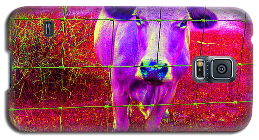 Purple Galaxy S5 Case featuring the photograph Purple Cow by Patricia Januszkiewicz