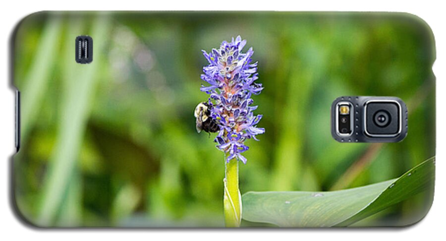 Purple Flower & Bee Galaxy S5 Case featuring the photograph Purple flower and Bee by Susan Jensen