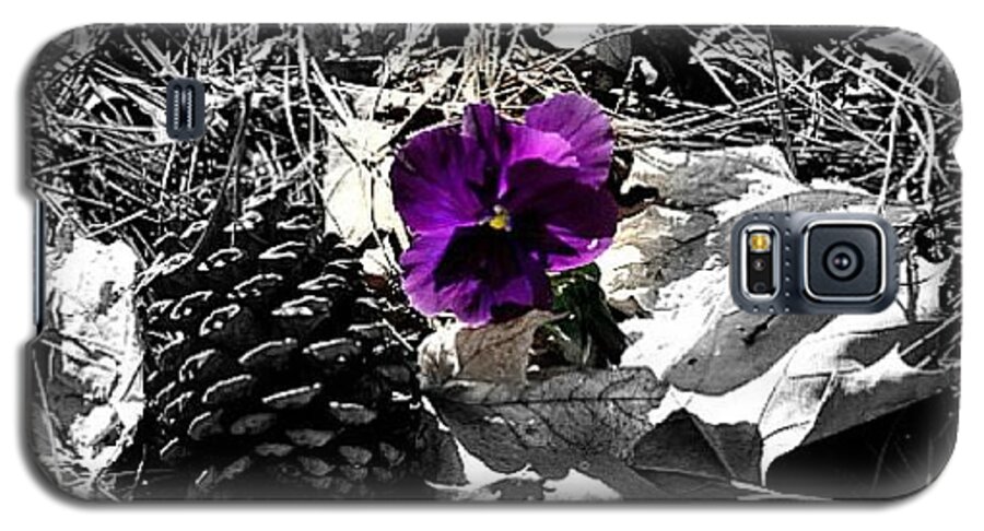 Pansy Galaxy S5 Case featuring the photograph Purple Pansy by Tara Potts