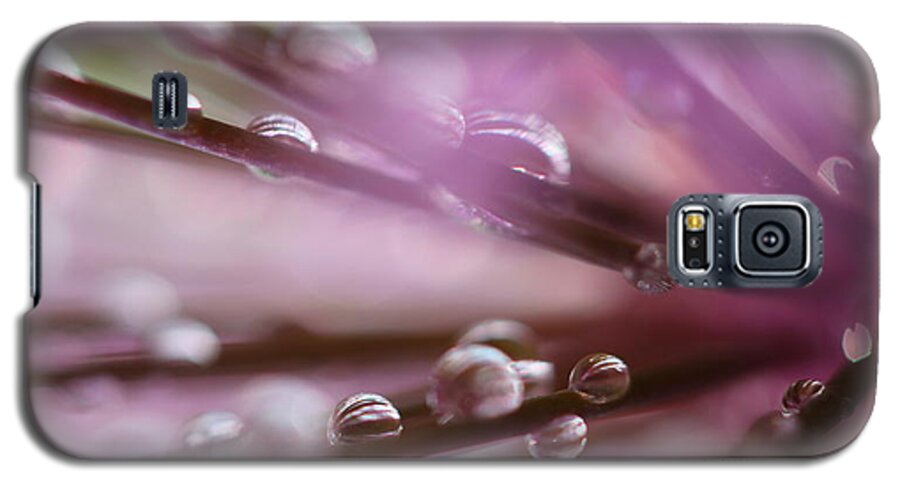 Photograph Galaxy S5 Case featuring the photograph Purple Rain by Tracy Male
