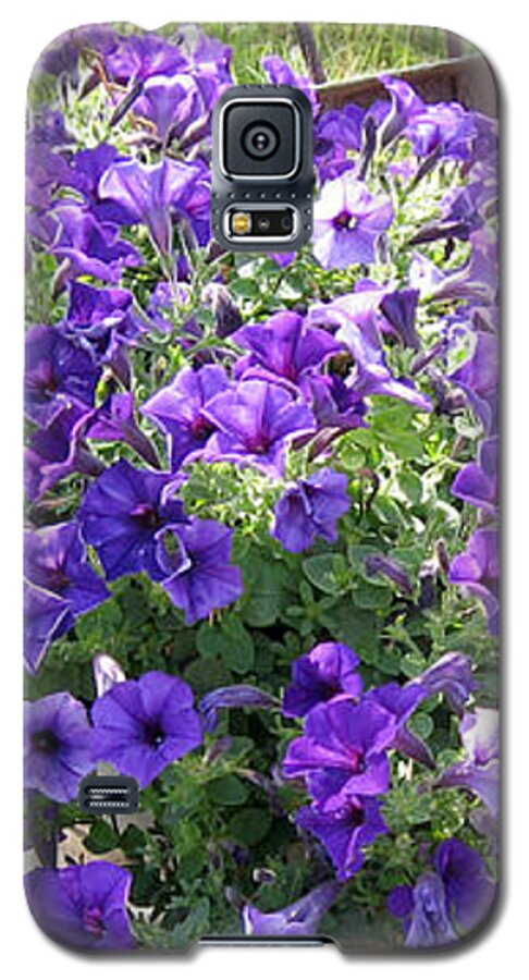 Petunias Galaxy S5 Case featuring the photograph Purple Wave Petunias in Rusty Horse Drawn Spreader by Conni Schaftenaar