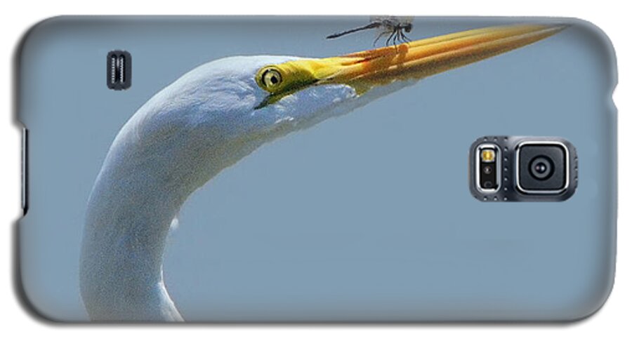 Egret Galaxy S5 Case featuring the photograph Pushing The Limits by Charlotte Schafer