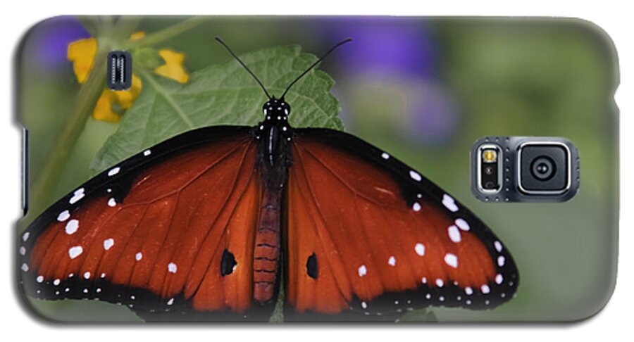  :penny Lisowski Galaxy S5 Case featuring the photograph Queen Butterfly by Penny Lisowski