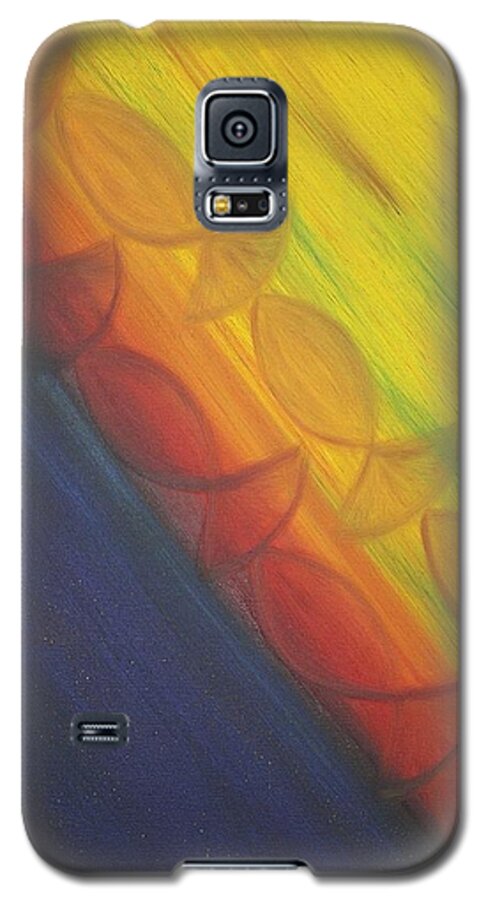 Oil Galaxy S5 Case featuring the painting Rainbow Run by Eli Tynan