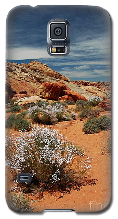 Nightvisions Galaxy S5 Case featuring the photograph 513P Rainbow Vista in the Valley of Fire by NightVisions