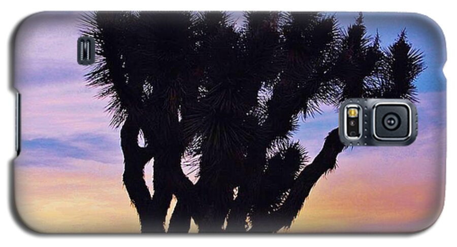 High Desert Galaxy S5 Case featuring the photograph Rainbow Yucca by Angela J Wright