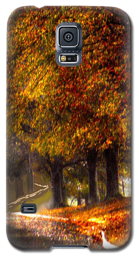 Rainy Day Galaxy S5 Case featuring the photograph Rainy Day Path by Lesa Fine