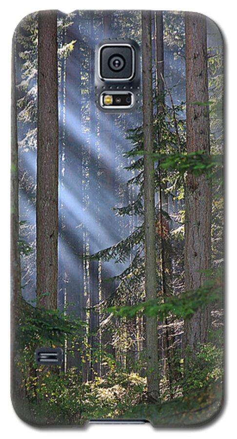 Sun Galaxy S5 Case featuring the photograph Rays by Randy Hall