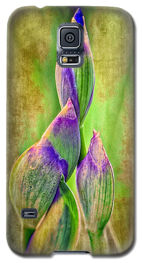 Reach For Spring - Barbara Socor Galaxy S5 Case featuring the photograph Reach for Spring by Barbara Socor 